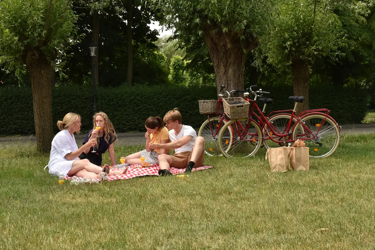 Picnic