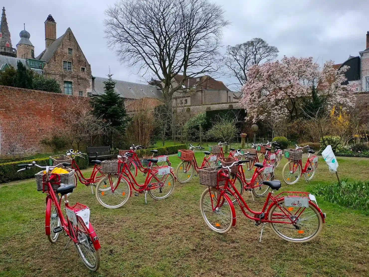 Tailor-Made Tour - Private Bruges Experience