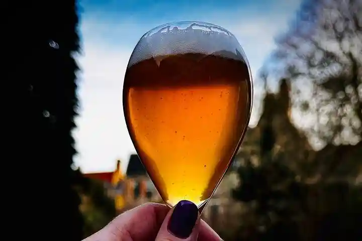 Brugse zot